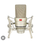 Professional Condenser Microphone Studio